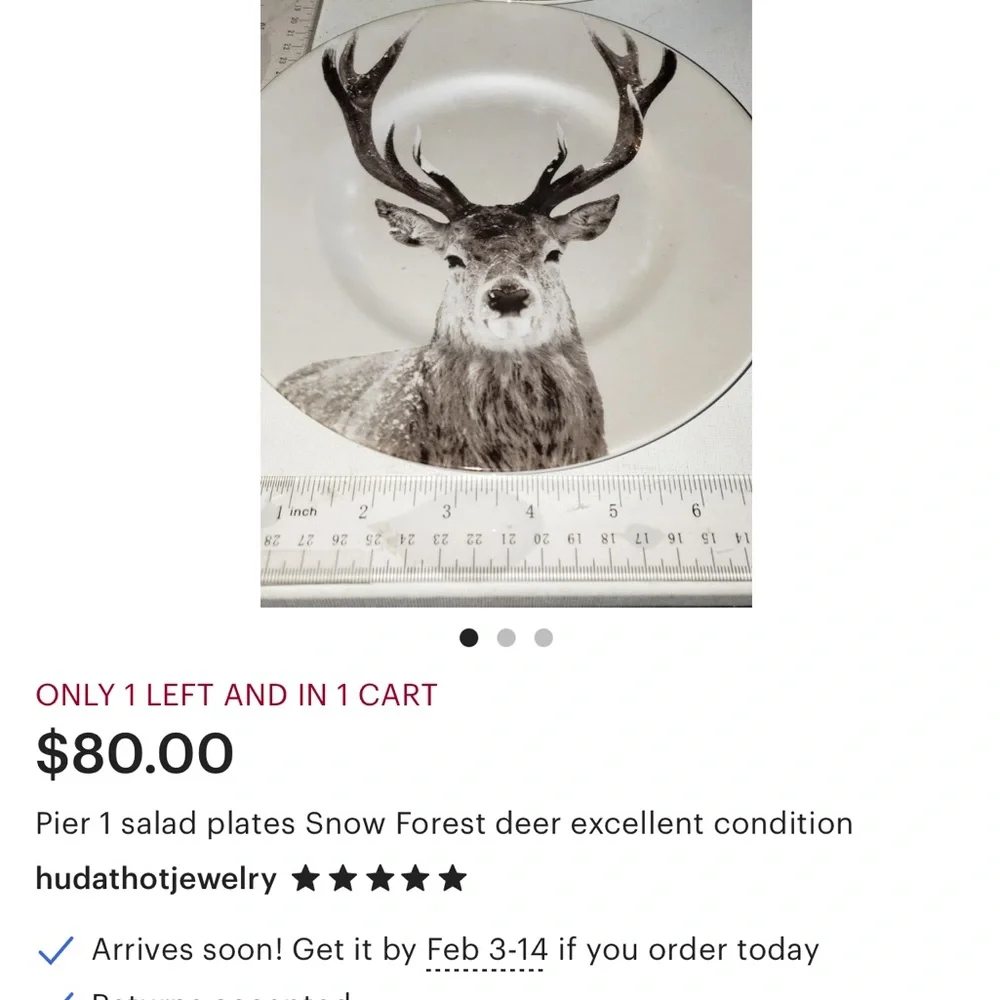 Pier 1 Imports 1 “Winter Forest” Accent Plate